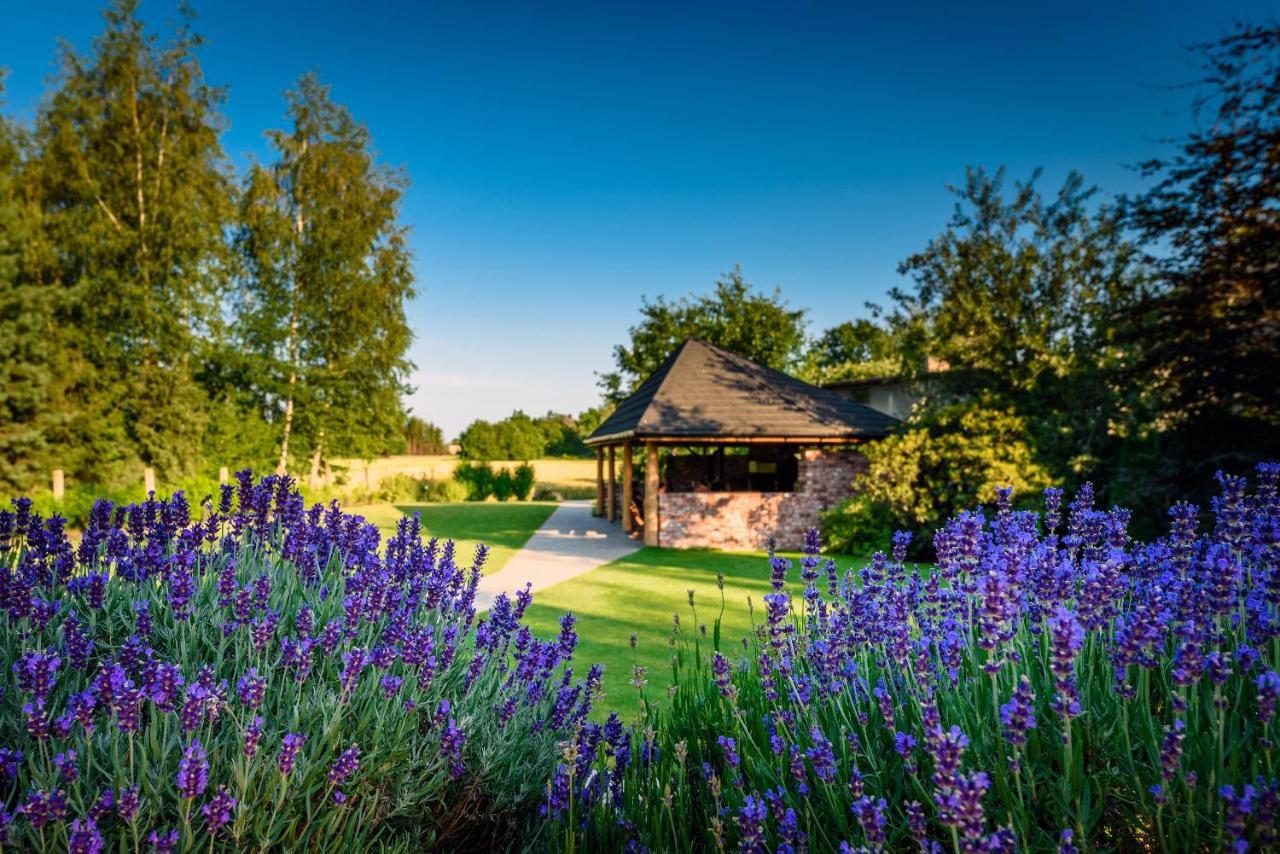 Villa Natura Zator Przeciszów Exterior foto